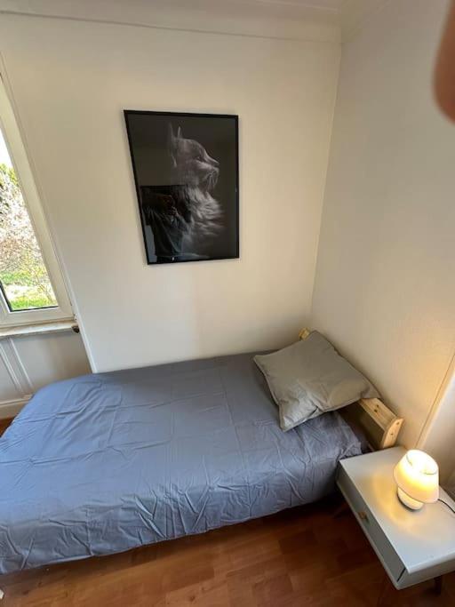 Magnifique Appartement F3. 4 A 6 Personnes Lutterbach Esterno foto
