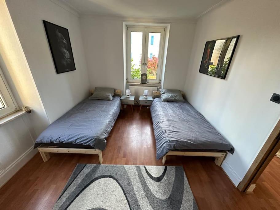 Magnifique Appartement F3. 4 A 6 Personnes Lutterbach Esterno foto