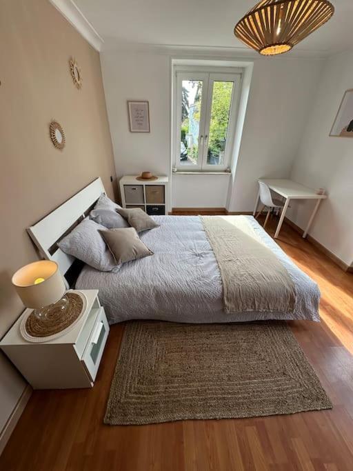 Magnifique Appartement F3. 4 A 6 Personnes Lutterbach Esterno foto